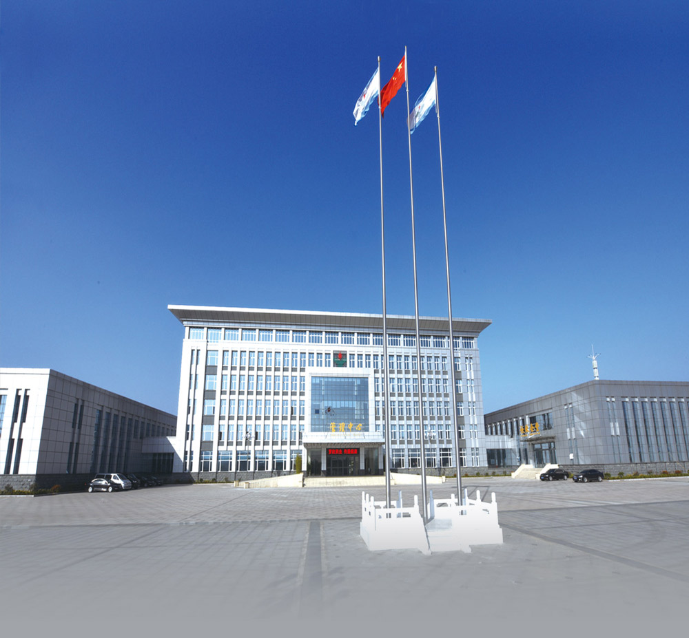 Shandong Luoxin Pharmaceutical Group Hengxin Pharmaceutical Co., Ltd.: Ведущий игрок в фармацевтическом производстве