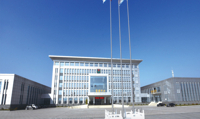 Shandong Luoxin Pharmaceutical Group Hengxin Pharmaceutical Co., Ltd.: Ведущий игрок в фармацевтическом производстве