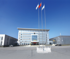 Shandong Luoxin Pharmaceutical Group Hengxin Pharmaceutical Co., Ltd.: Ведущий игрок в фармацевтическом производстве